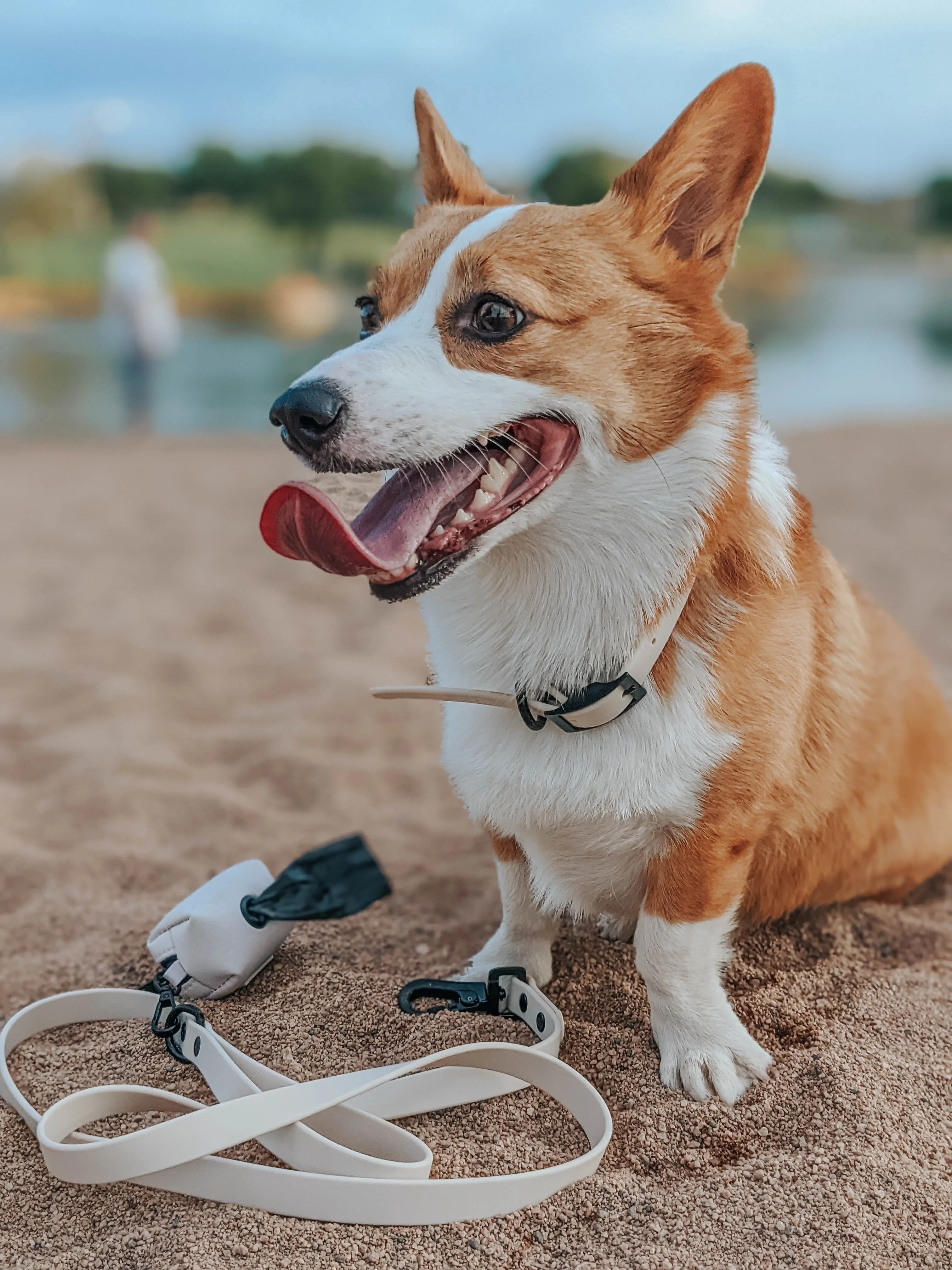 Dog Waterproof Leash - Beige