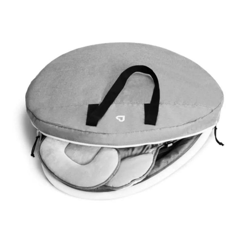 Infant SWING Travel Case