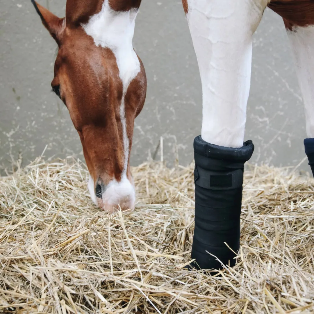 Kentucky Horsewear Repellent Stable Bandages - Black